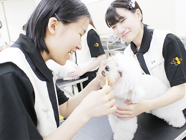 歯みがきしました☆